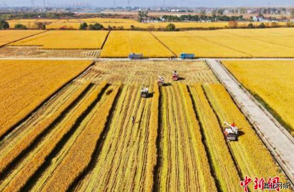 屏幕快照 2020-02-17 14.43.38.png 屏幕快照 2020-02-17 14.43.38.png